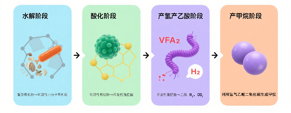厌氧生物处理技术.png